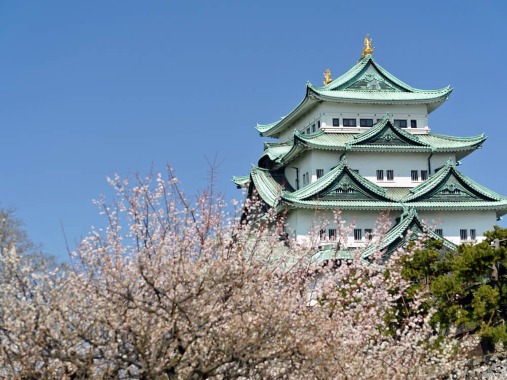 「愛知県名古屋市」のホテル建設データ ※2017年8月時点データ